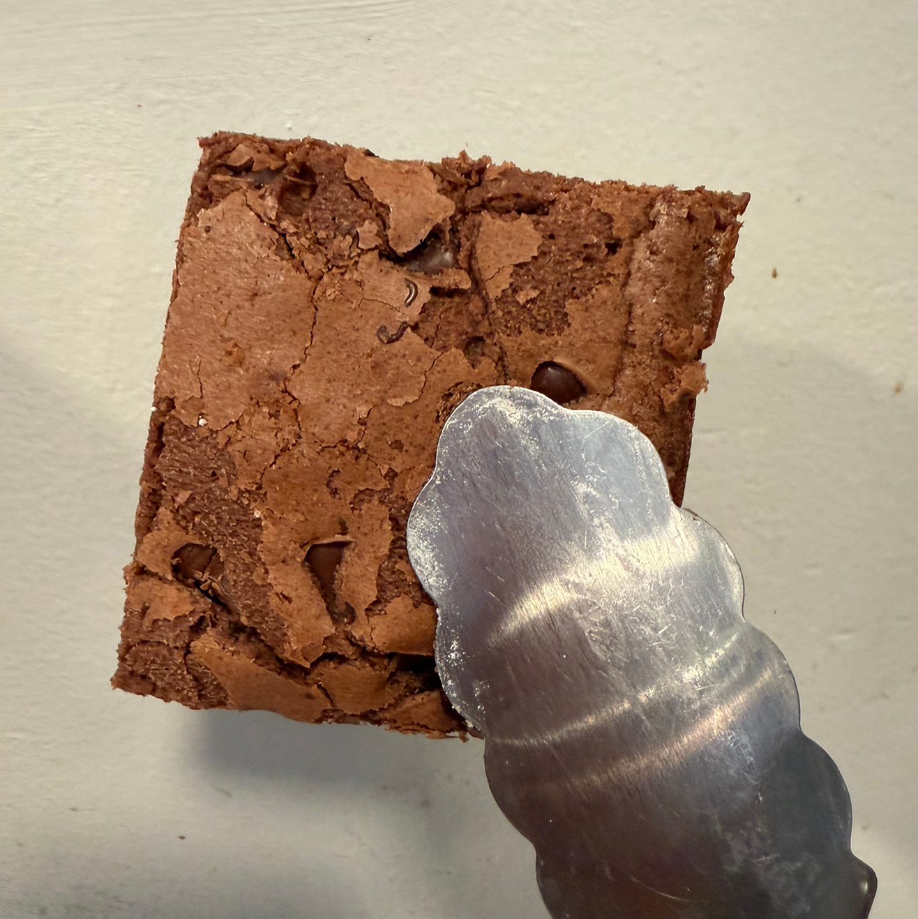Brownie.